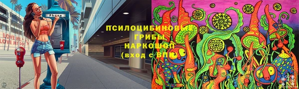 крисы Богданович